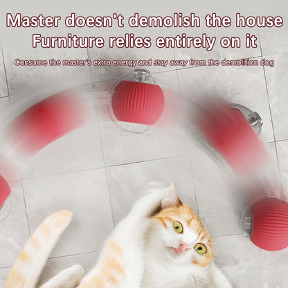 Interactive Cat Toy Ball Super Drive Cat Rolling Balls With Bird Chirping Motion Activated Sensor Pet Kitten Teaser Game Toys